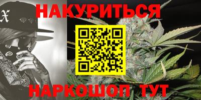 крисы Будённовск