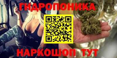 крисы Будённовск