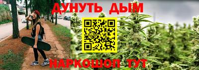 крисы Будённовск