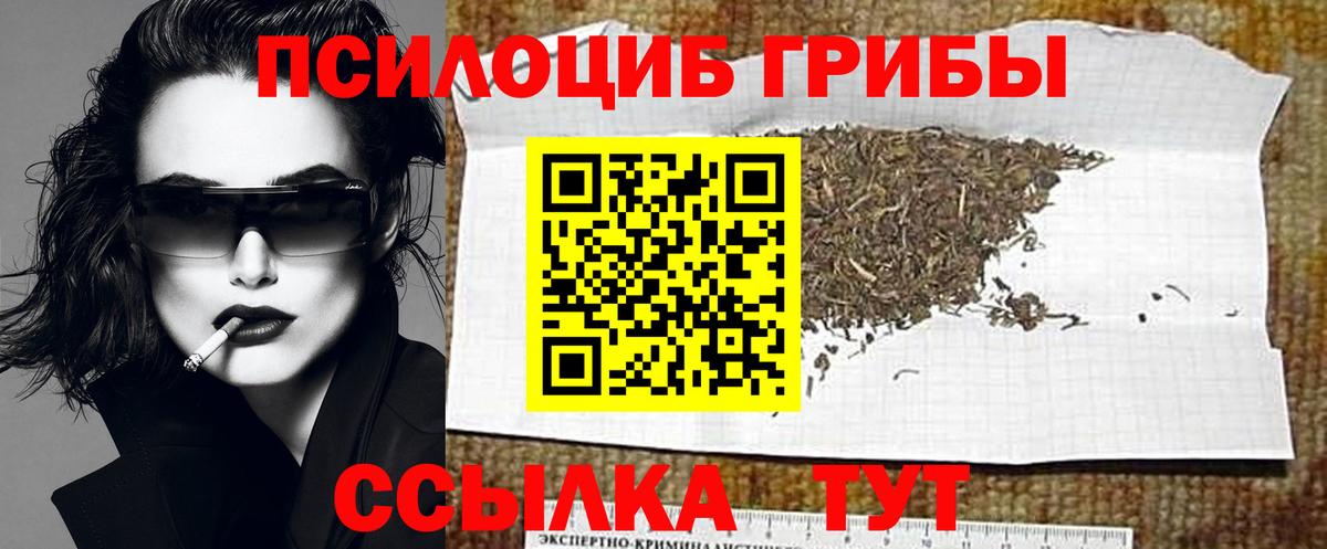 Янаул  Галлюциногенные грибы Cubensis  магазин продажи   Вход с VPN 